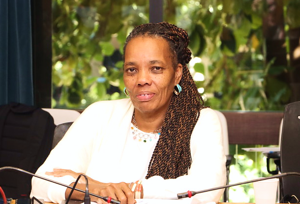 Altamira Simões dos Santos de Souza Rede Nacional Lai Lai Apejo - Saúde da População Negra e Aids