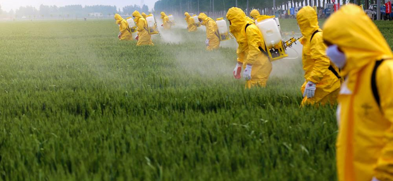 uso de agrotoxicos.png
