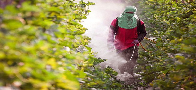 CNS repudia aprovação de Projeto de Lei que flexibiliza o uso de agrotóxicos e afeta a saúde da população