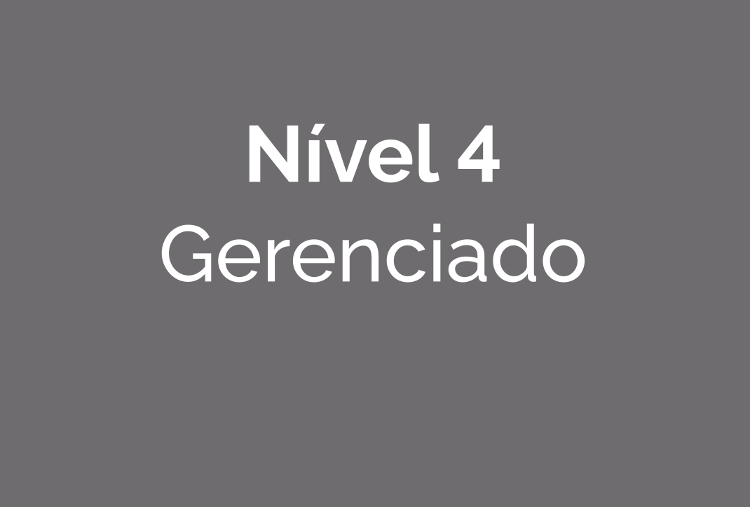 Nível 4 - Gerenciado