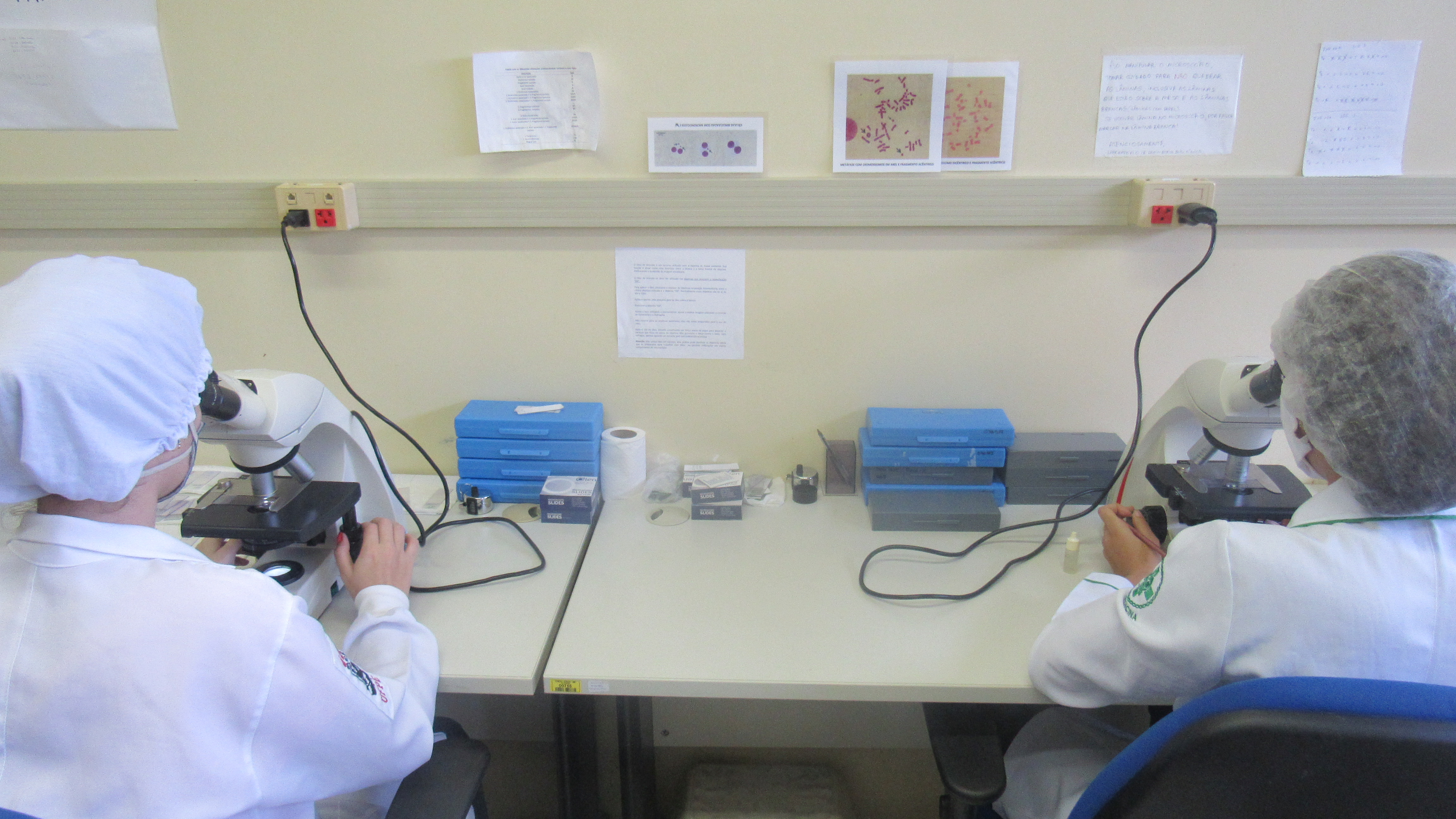 Pesquisa, Desenvolvimento, Inovação e Ensino