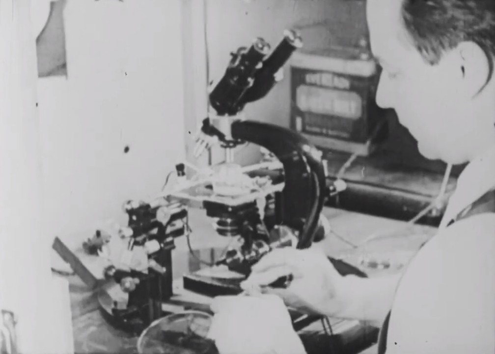 WhatsApp Image 2023-11-30 at 09.57.00.jpeg