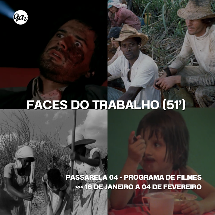 Programa Passarela 04