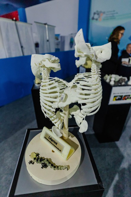 Biomodelo produzido por manufatura aditiva no CTI Renato Archer (Foto: Luara Baggi/ASCOM MCTI)