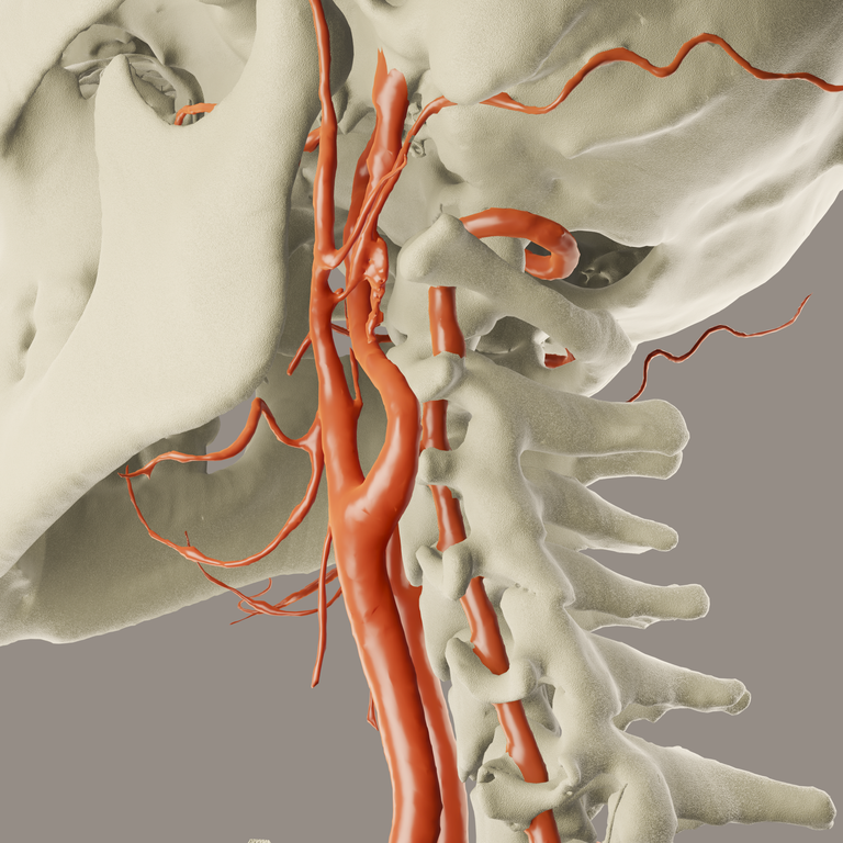 Startup peruana aposta em impressão 3D para o bom resultado de cirurgias complexas