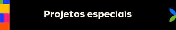 botão com título projetos especiais