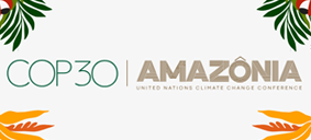 botão com texto cop 30