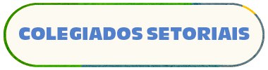 COLEGIADOS SETORIAIS