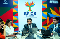 1ª Reunião Técnica do GT Cultura do BRICS termina com debate sobre devolução e preservação de bens culturais
