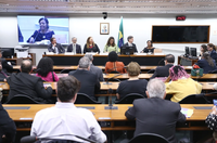 “Esse debate não pode esfriar”, diz Joelma Gonzaga em comissão sobre regulação do Video on Demand