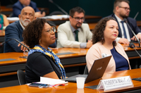 Audiência pública na Câmara dos Deputados debate regulamentação do Sistema Nacional de Cultura