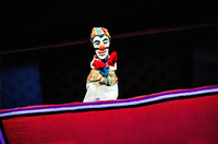 Bastião nas Terras de São Saruê: Teatro de Bonecos ganha livro ilustrado