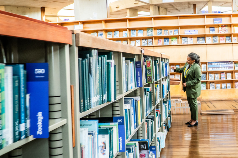 Cópia de carrossel (59).png