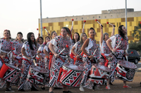 Cartas à Tereza: Biblioteca Demonstrativa inaugura exposição com arte afro-brasileira, máquinas de escrever e celebração à resistência negra