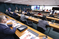 Com presença do Ministério da Cultura, seminário debate desafios e perspectivas da primeira infância na Câmara dos Deputados