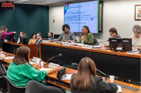 Em sessão conjunta, ministra destaca ações da Cultura para o Rio Grande do Sul