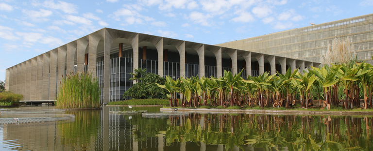 POSSE FUNDAÇÃO PALMARES.png