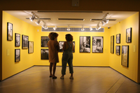 Holanda disponibiliza fundos para projetos culturais no Brasil