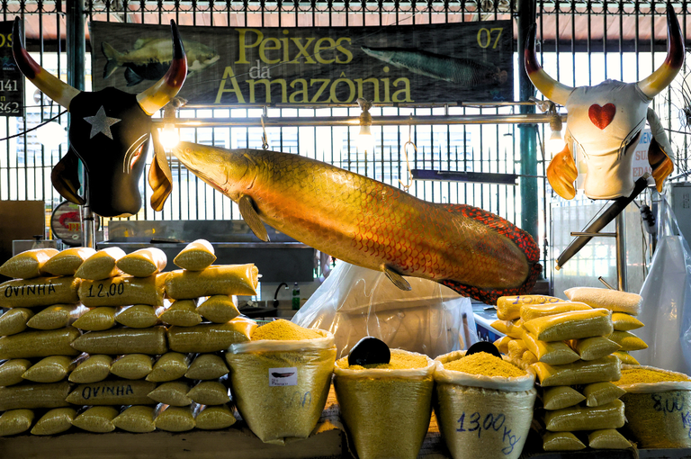 Foto: Fabio Rodrigues-Pozzebom/Agência Brasil