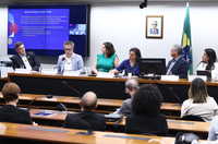 MinC participa de Audiência Pública na Câmara sobre PNLE e apresenta objetivos e metas do novo Plano Nacional do Livro e Leitura