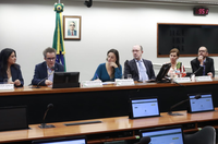 MinC participa de Audiência Pública sobre Plano Nacional do Livro e Leitura