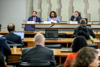 Ministra Margareth Menezes comparece à Comissão de Educação, Cultura e Esporte do Senado