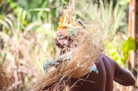 No Dia Mundial do Meio Ambiente, MinC reforça compromisso em articular ações culturais e climáticas