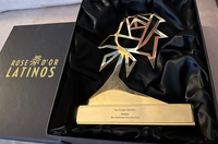 Perfekta conquista prêmio internacional e reafirma o papel do fomento ao audiovisual brasileiro