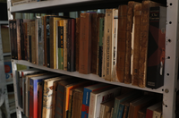 Rio Grande do Sul: Biblioteca Nacional cria canal de orientação sobre recuperação de acervos atingidos por enchente