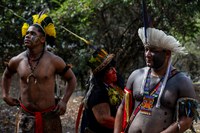 Rosa Weber entregará Constituição Federal em língua indígena à Biblioteca Nacional nesta sexta (25)