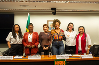 Secretaria do Audiovisual participa de debates sobre políticas afirmativas e film commission na Câmara dos Deputados