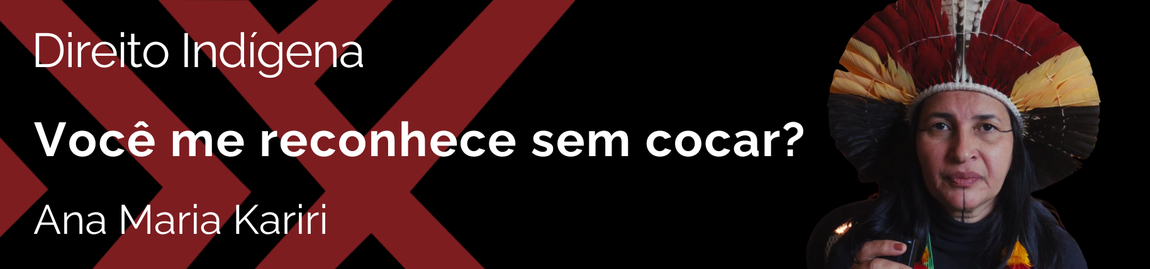 Lançamentos da revista pihhy