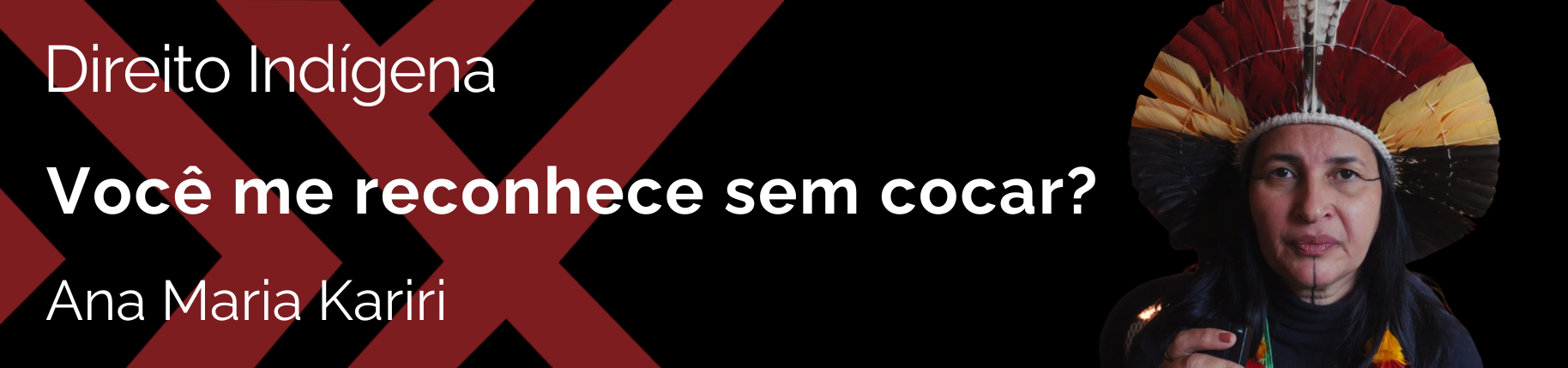 Lançamentos da revista pihhy