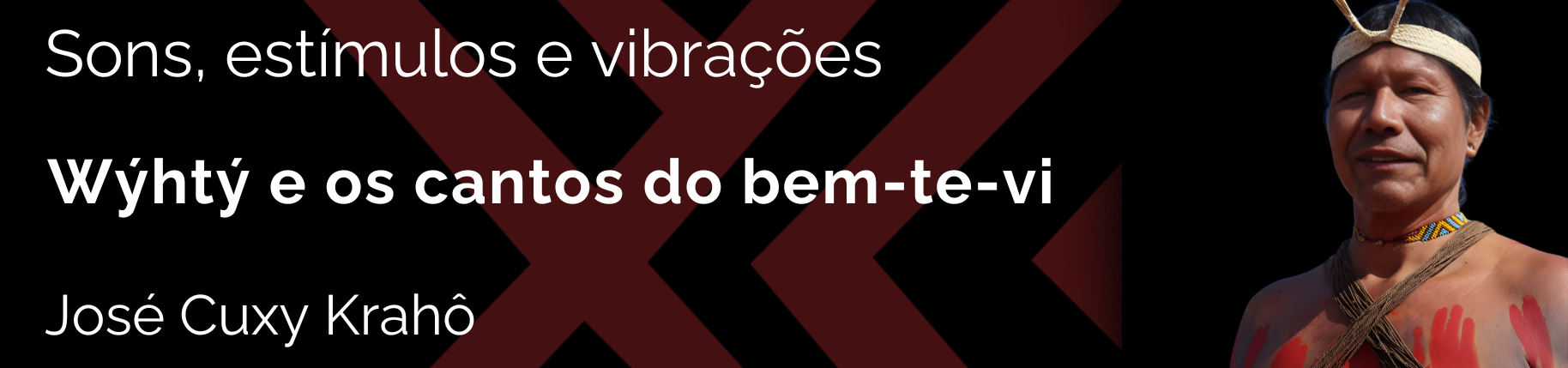 Lançamentos da revista pihhy