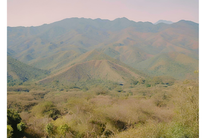 imagem de montanhas com vegetação no mexico