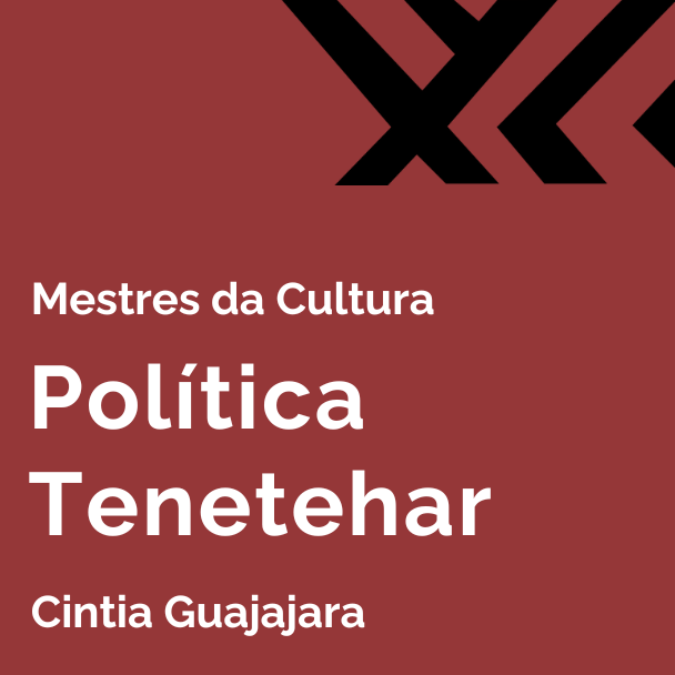 Clique para ler a materia sobre politica tenetehar