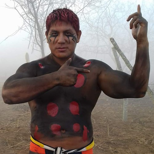 Imagem de indigena