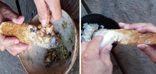 Imagens mostrando ralando gengibre e banana, foto; Cleudiane, Felipe, 05/07/2021.