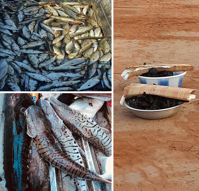esta é uma foto de Asariku Yamayawa Waura, contendo peixes e caças na aldeia Piyulaga, Xingu Mato Grosso Brasil.