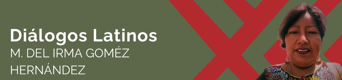 Banner da Irma Gomez