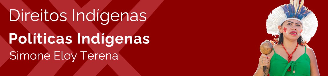 Banner Simone Terena