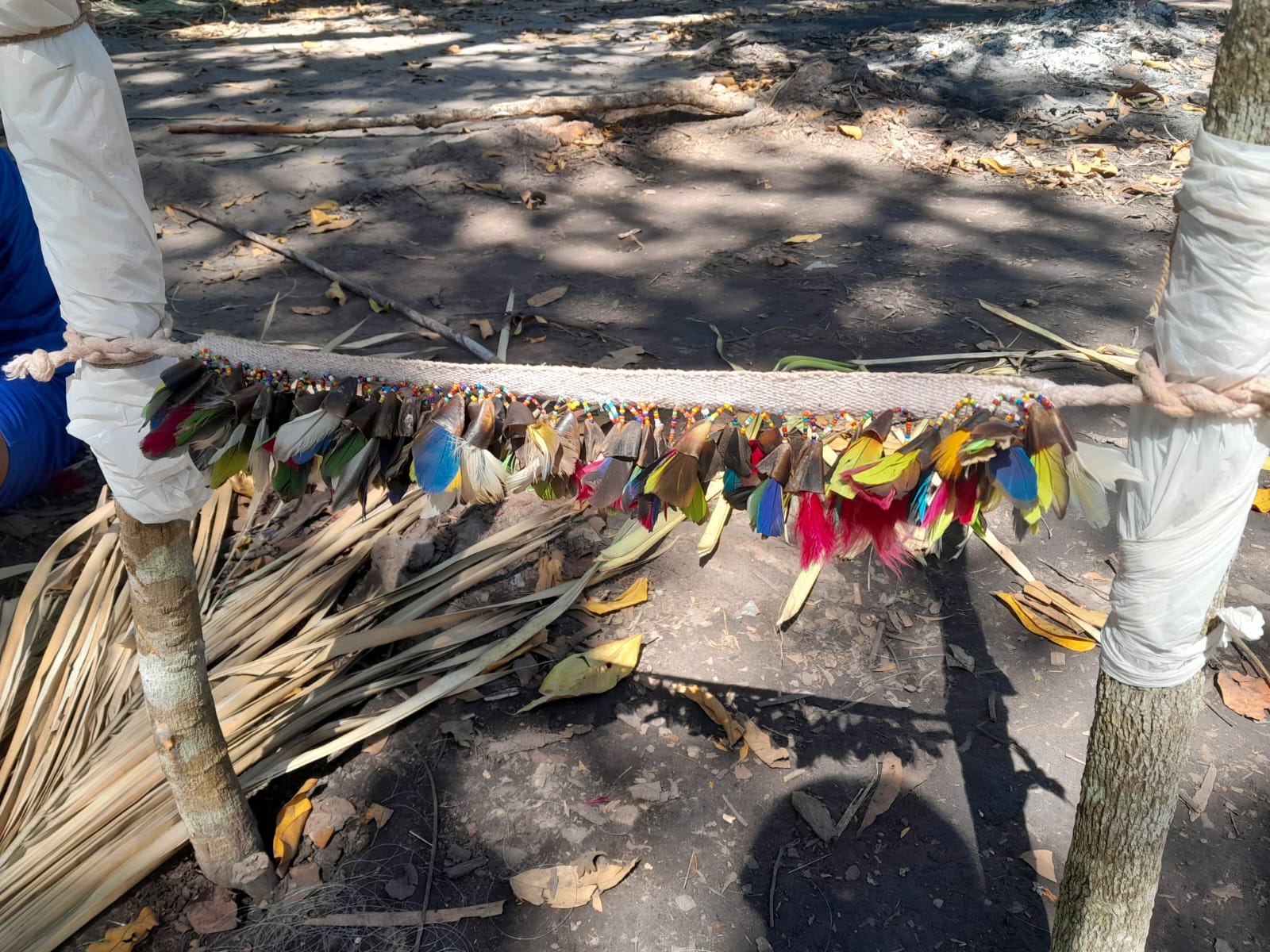 Ensaio fotografico Awe