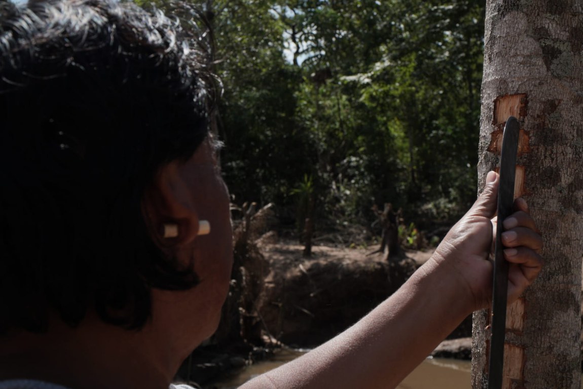 Ensaio fotografico Awe