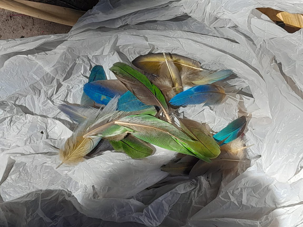 Ensaio fotografico Awe