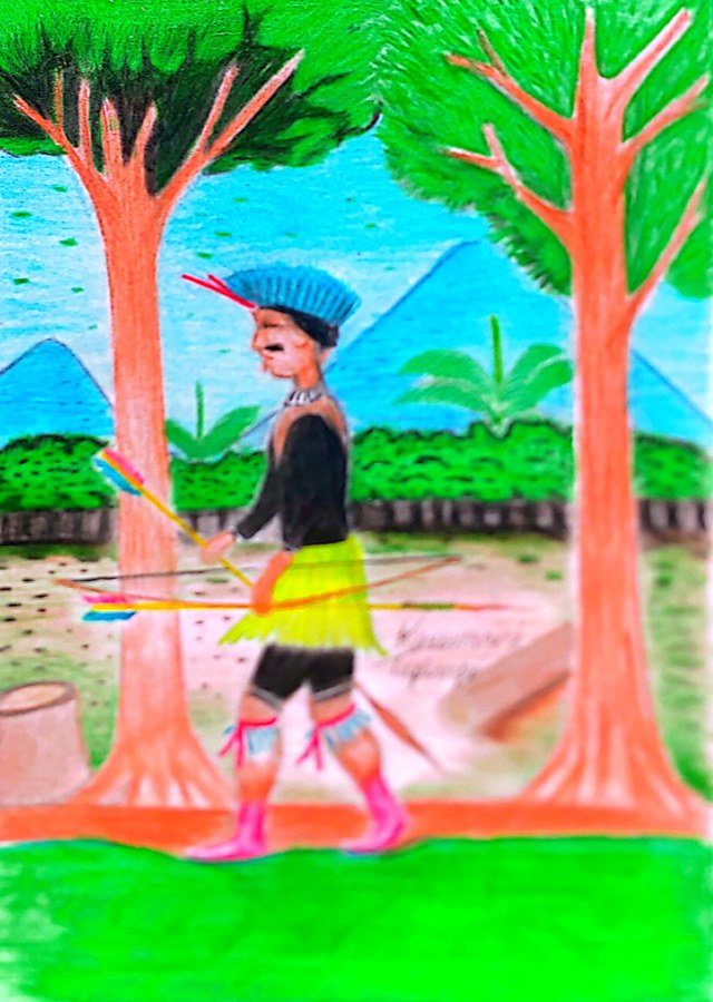 Arte Kaxowaari Tapirapé