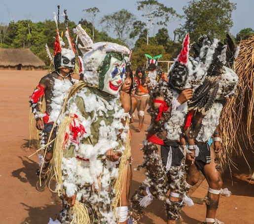 Penugem de outras aves