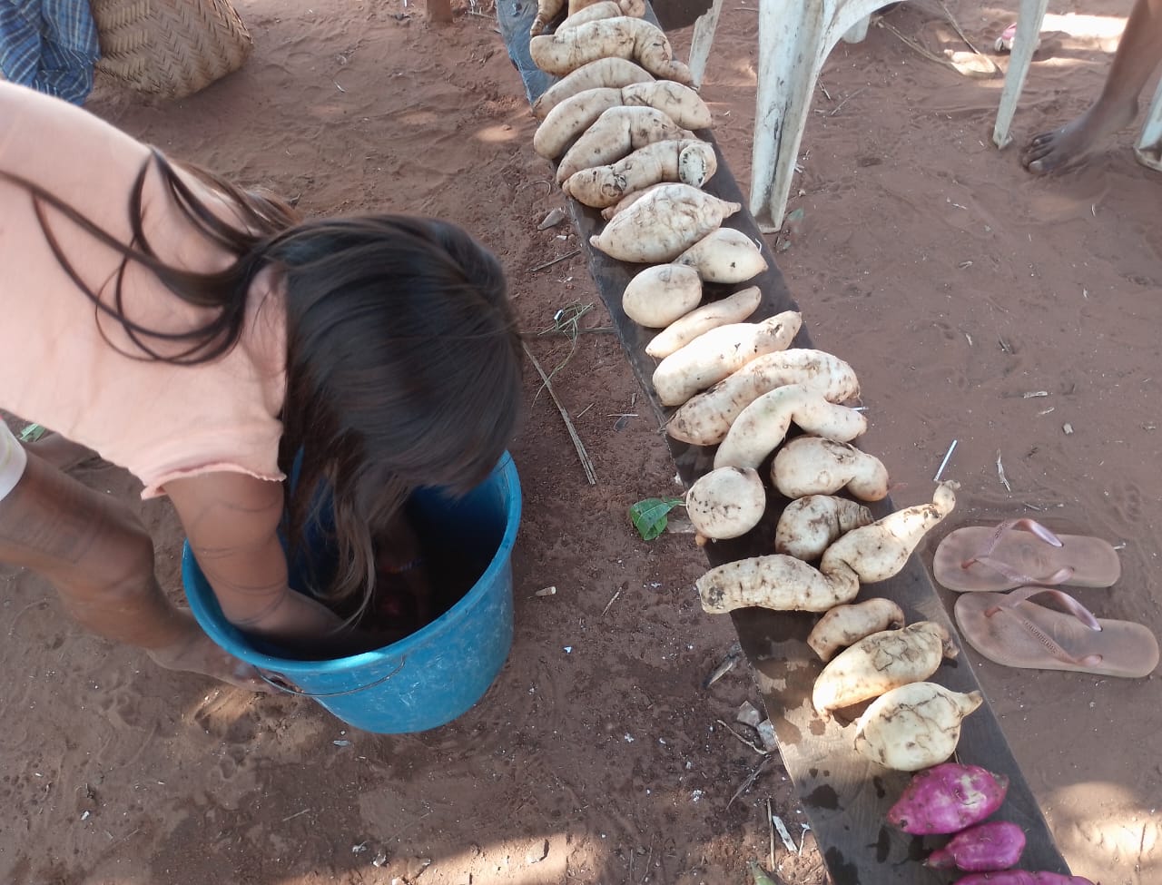 imagem Mē carõ pēr xà - Cinema Vivo