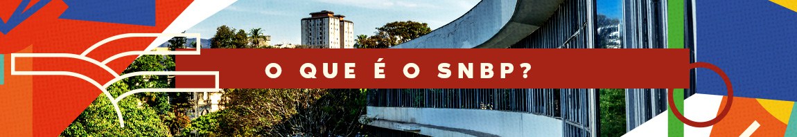O QUE É O SNBP?