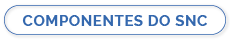 COMPONENTES DO SNC