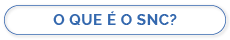 O QUE É O SNC?